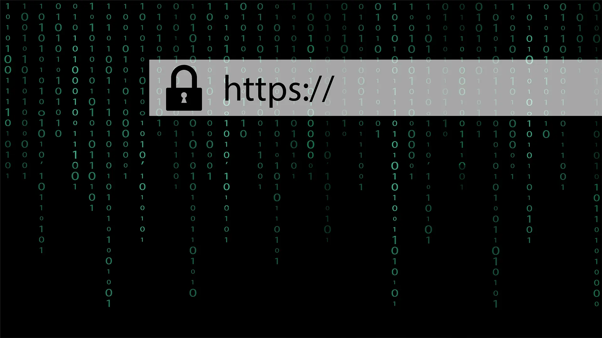 HTTPS acronym on searchbar for secure connection