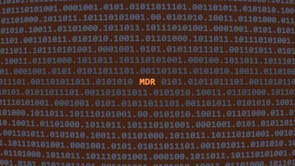 Le minacce informatiche
