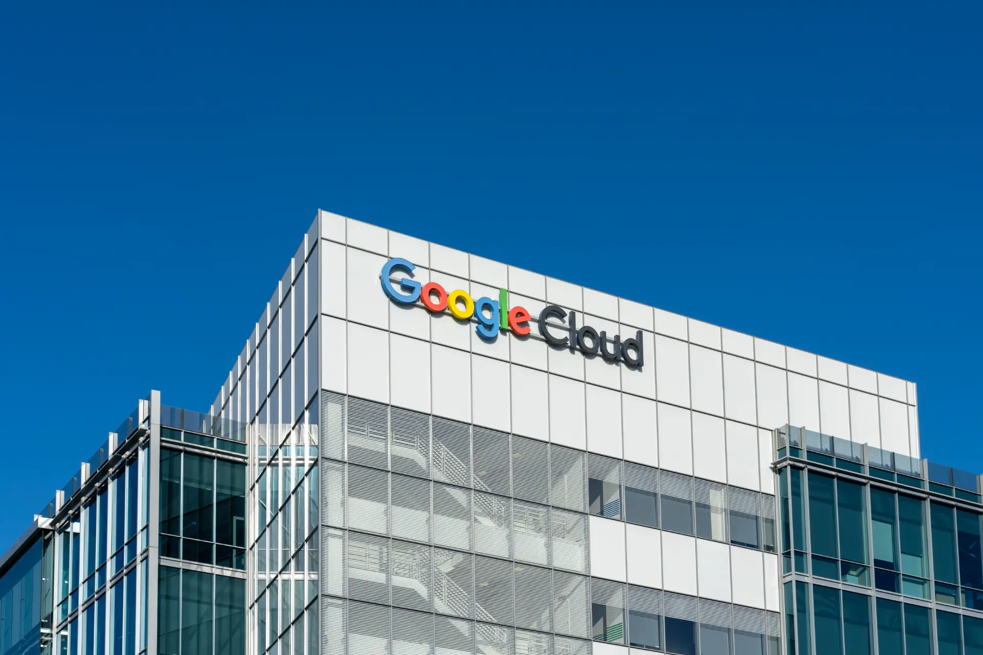 Google goes big