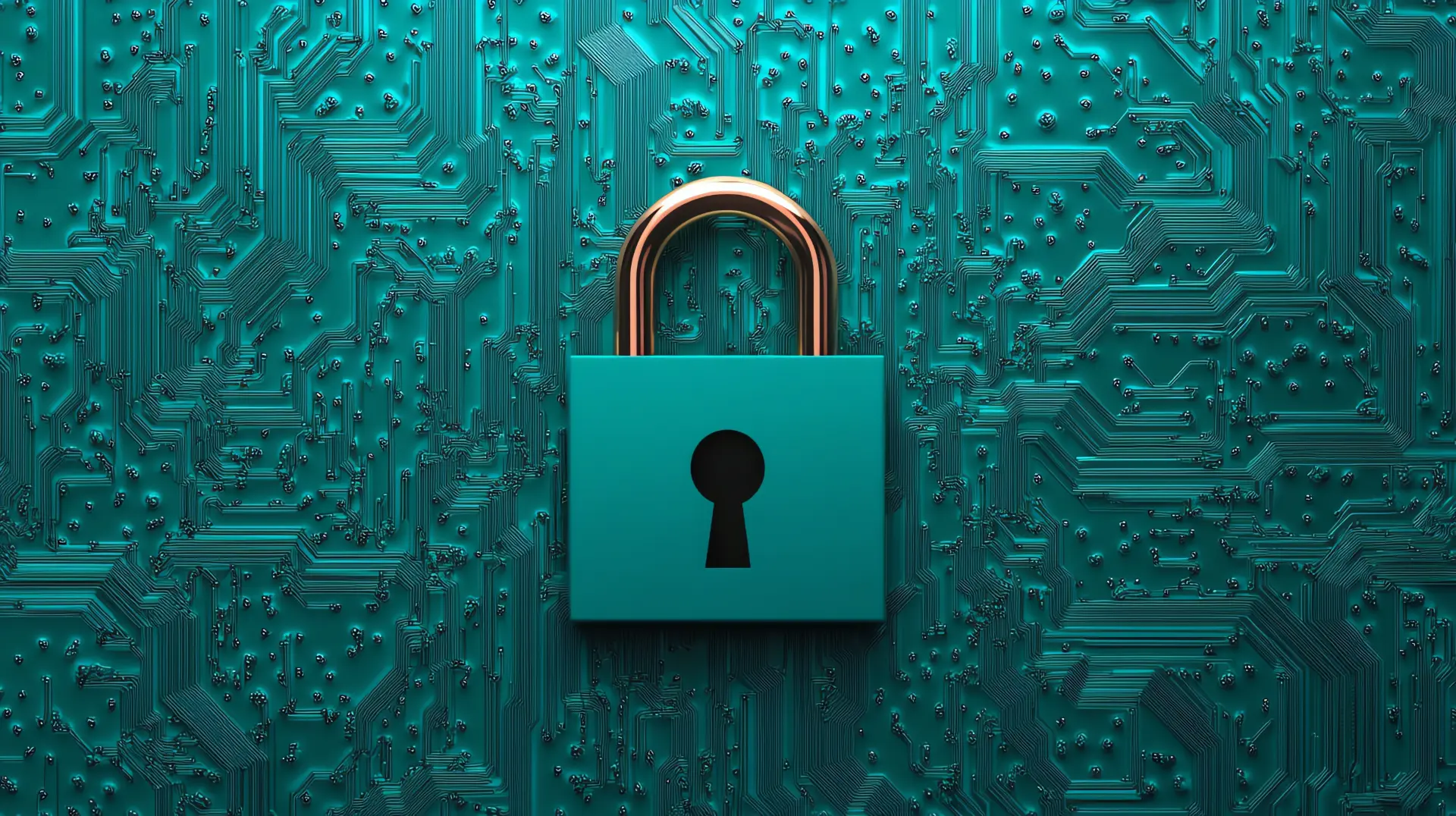 Security and online trust