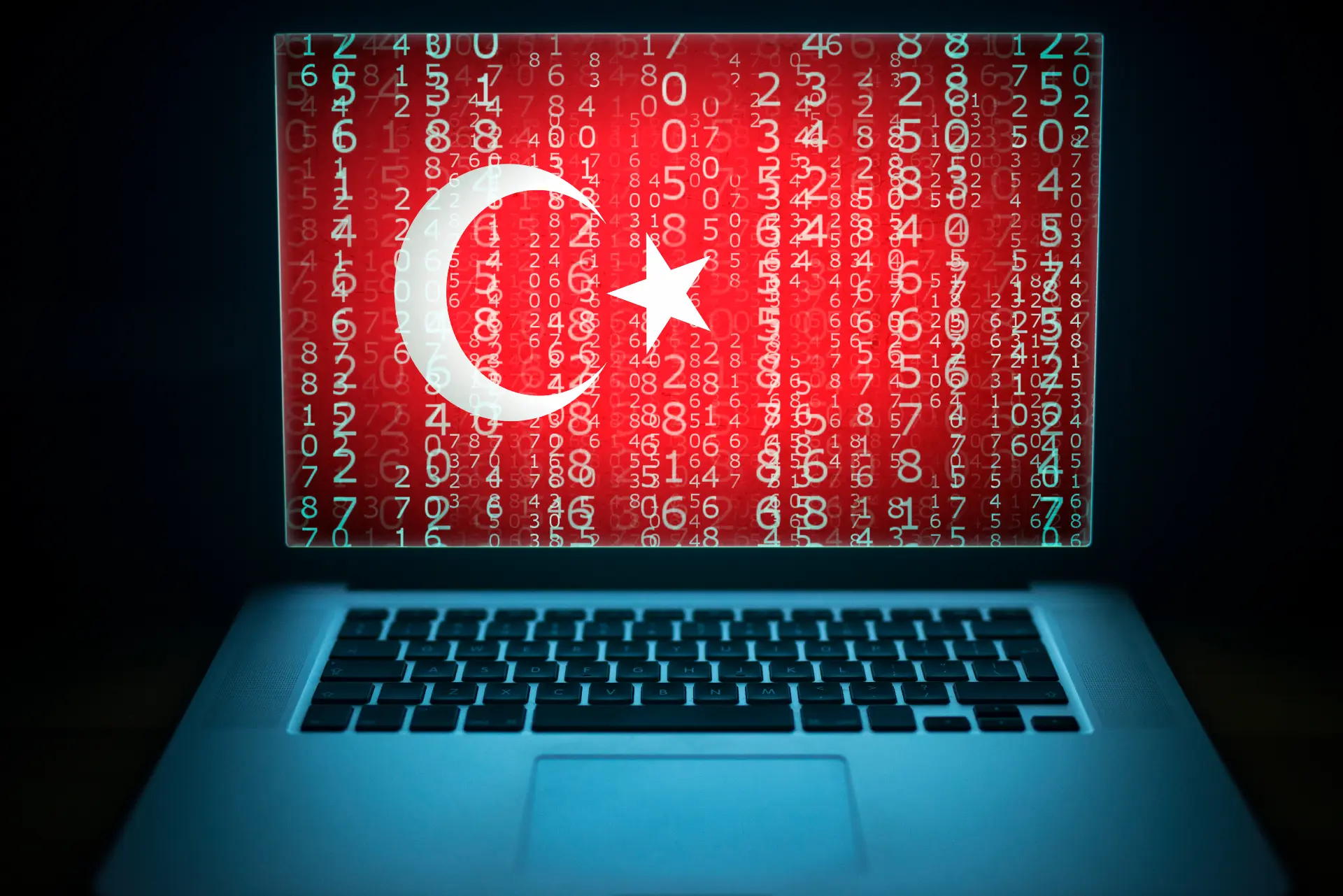 Turkish hackers leaked
